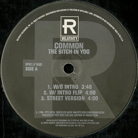 Common - The Bitch In Yoo